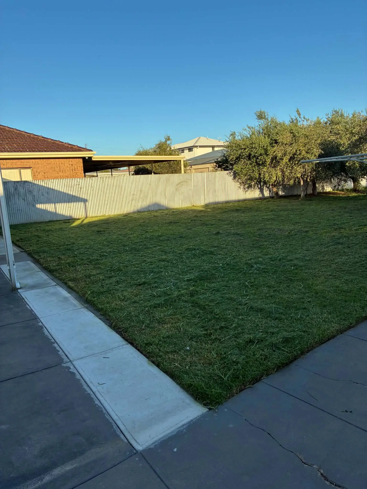 A backyard lawn freshly mown, with a clean edge along the concrete path.
