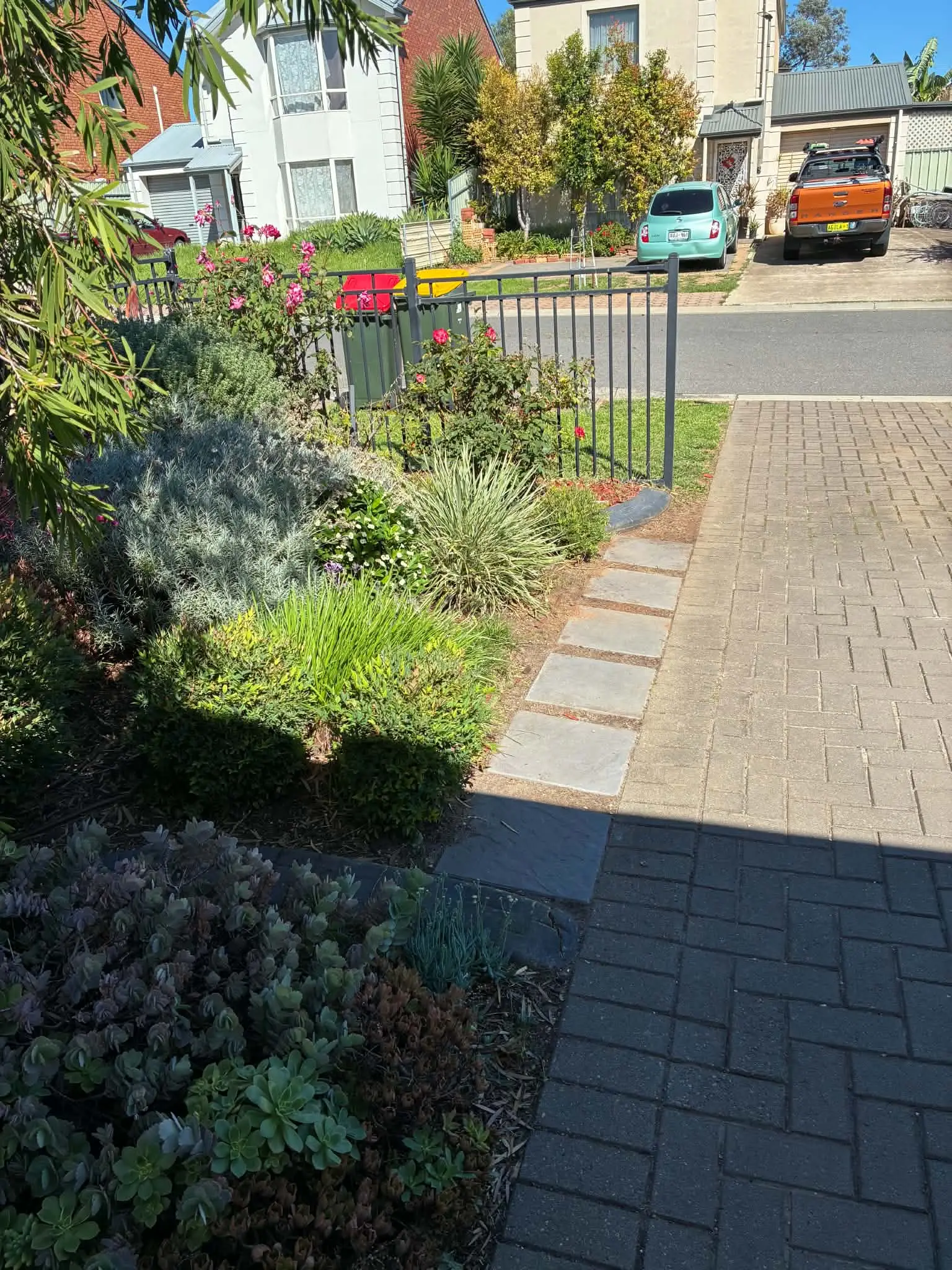 A tidied front garden bed of native plants beside a paved path.